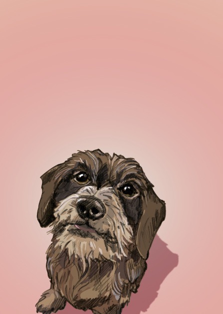 Postkarte - illi - ROSA Postkarte - illi - ROSA