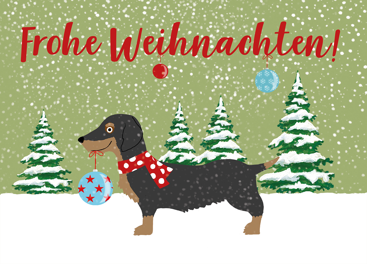 *PK - m-illu - Rauhaardackel