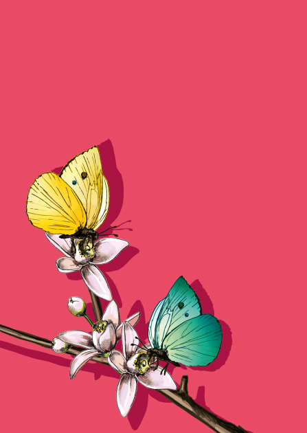 Postcard - illi - PANAMBI