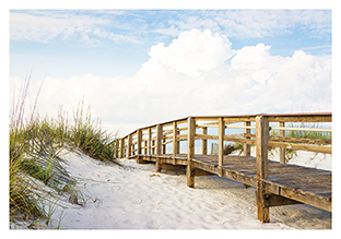 Postkarte - La Card - Dune footbridge