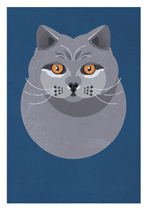 Postkarte - Daria Ivanova - British Shorthair Cat