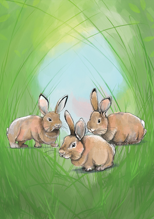 Postcard - Tabea Güttner - Rabbits