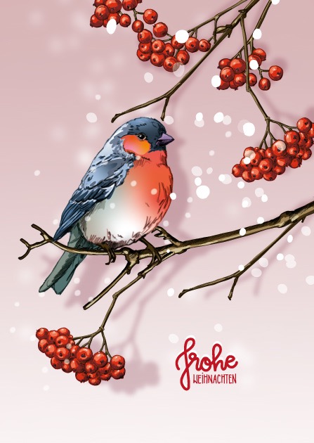 Postkarte - illi - NALLI Postkarte - illi - NALLI