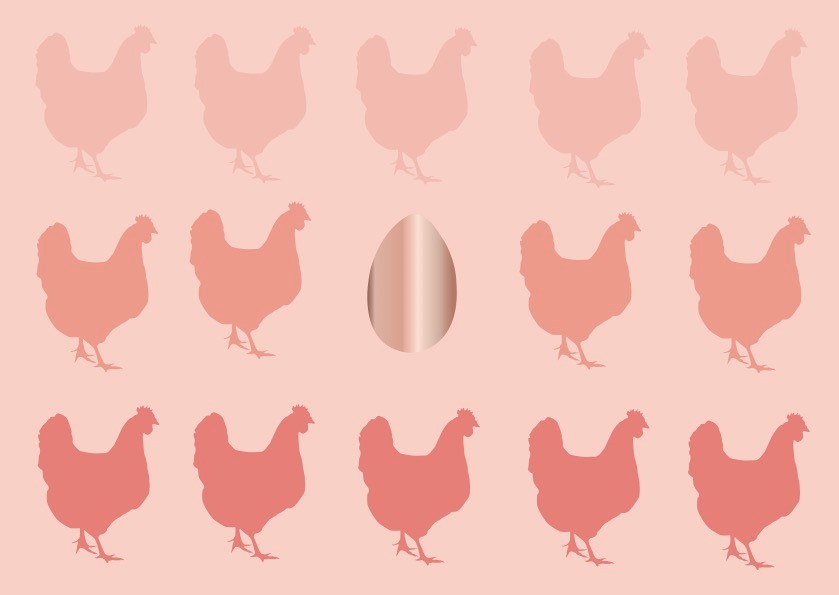 Postkarte - Toni Starck - chicken egg