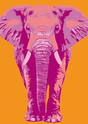 Postcard - Toni Starck - Orange Elephant