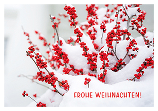 Postkarte - La Card - Red berries with snow
