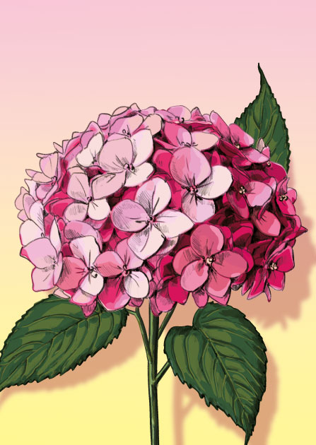 Postkarte - illi - MIMA