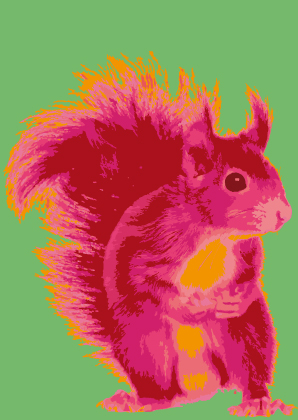 Postkarte - Toni Starck - Pink Squirrel