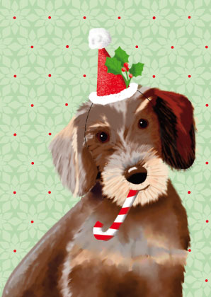 Postkarte - Toni Starck - Sausagedog Postkarte - Toni Starck - Sausagedog