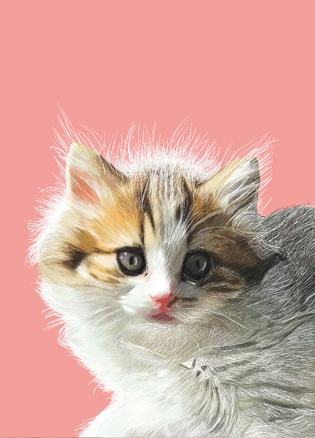Postcard - m-illu - Cat Nala