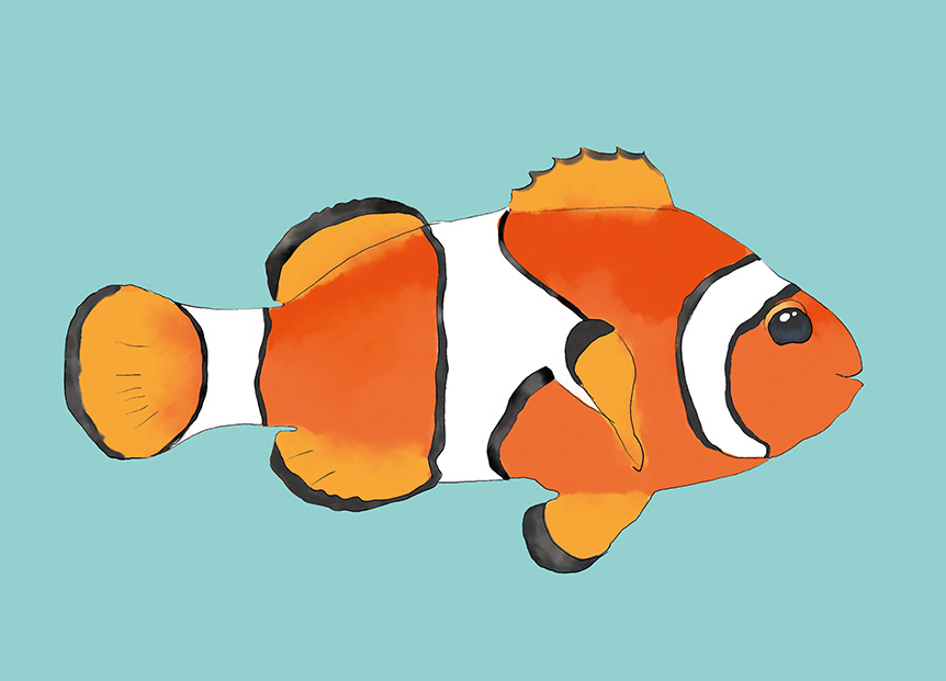 Postcard - m-illu - Clownfish