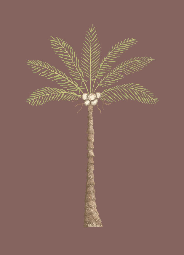 Postcard - Andrea Liesert - PALM