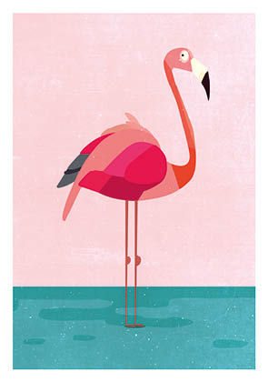 Postcard - Daria Ivanova - flamingo