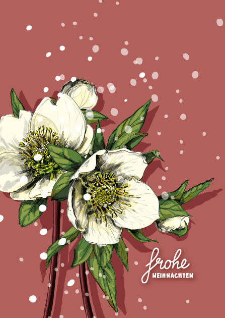 Postcard - illi - JULEROSE Frohe Weihnachten