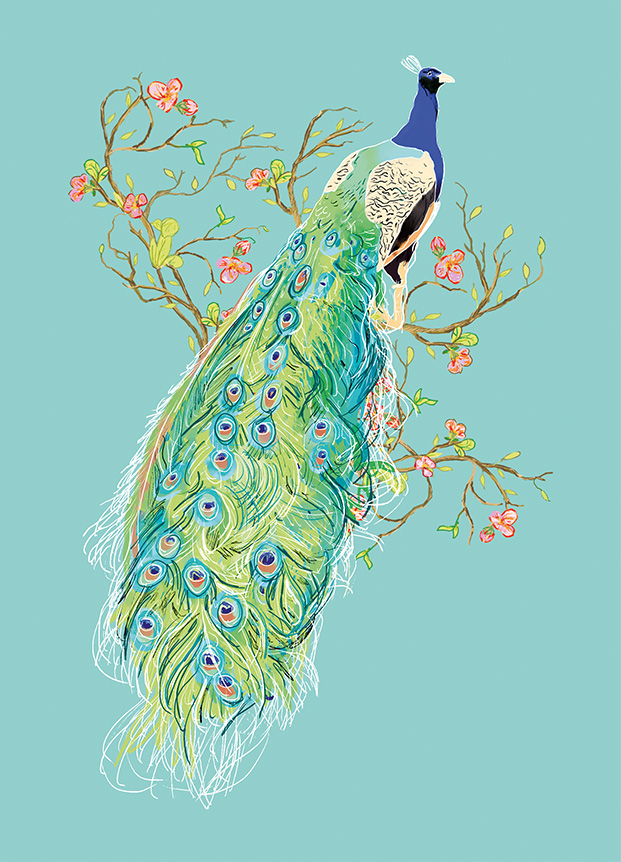 Postcard - m-illu - Peacock