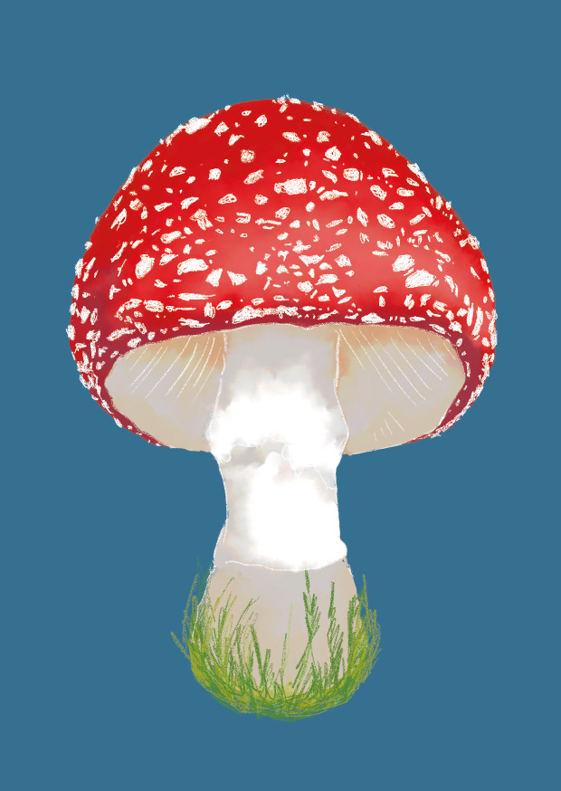 Postkarte - m-illu - Fliegenpilz