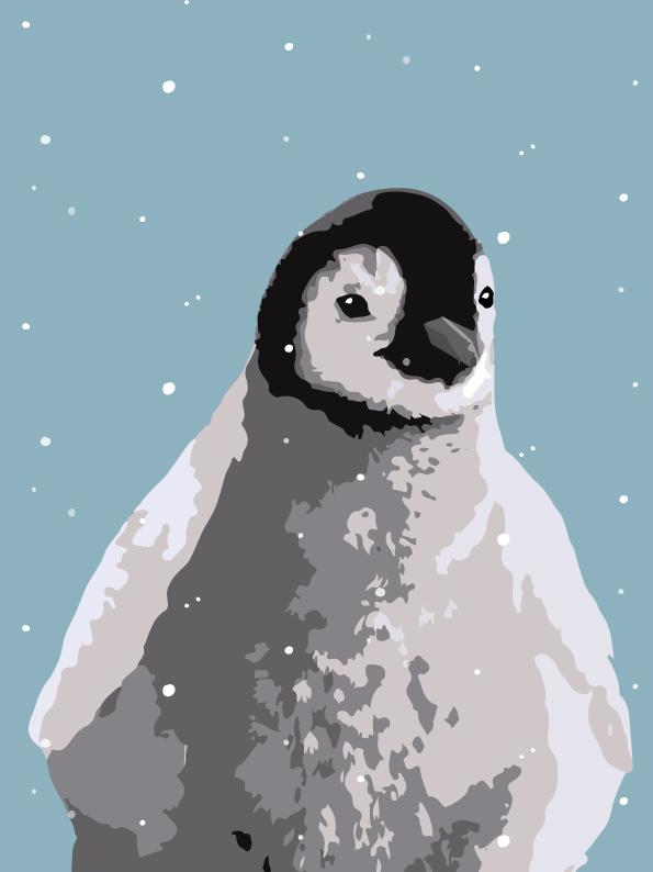 Postkarte - Toni Starck - Pinguin Postkarte - Toni Starck - Pinguin