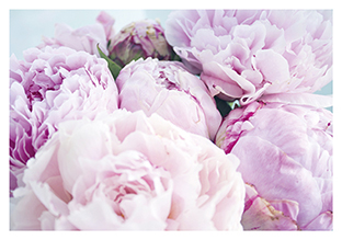 Postkarte - La Card - Peony