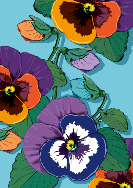 Postcard - illi - Viola Postcard - illi - Viola