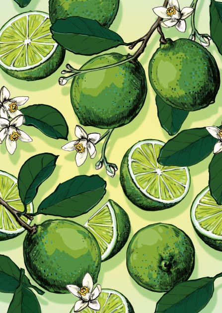 Postcard - illi - METTI