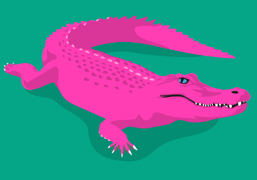 Postcard - luminous - Crocodile