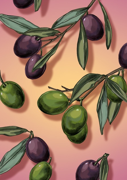 Postkarte - illi - OLAV