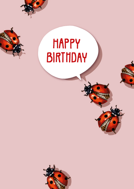 Postcard - illi - MUPPA Happy birthday Postcard - illi - MUPPA Happy birthday