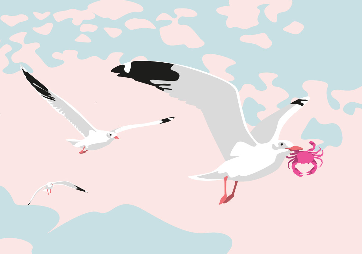 Postcard - luminous - Gulls