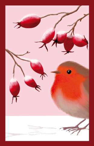 Minicard - Toni Starck - Rotkehlchen mit Hagebutten
