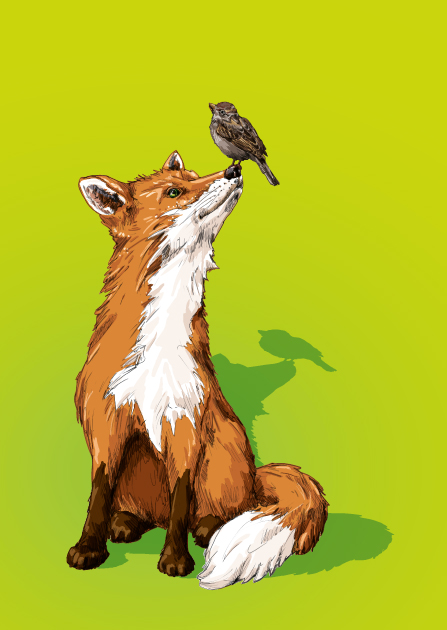 Postcard - illi - KUNTO