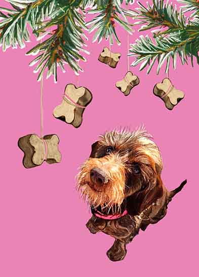 Postkarte - m-illu - Rosa mit Leckerli