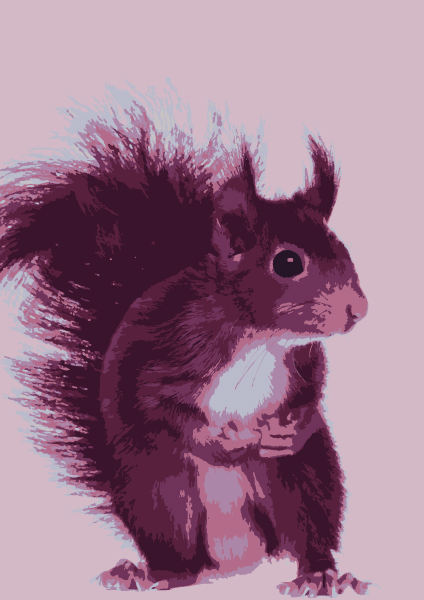 Postcard - Toni Starck - animal squirrel