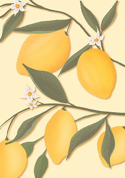 Postcard - Toni Starck - Lemonbranch