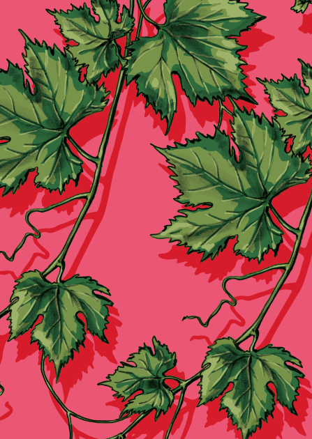 Postcard - illi - TALINA