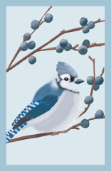 Minicard - Toni Starck - Blue Tit