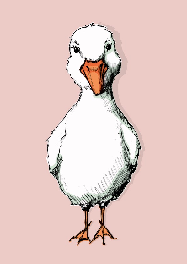 Artprint A3 - illi - Tibo rosé