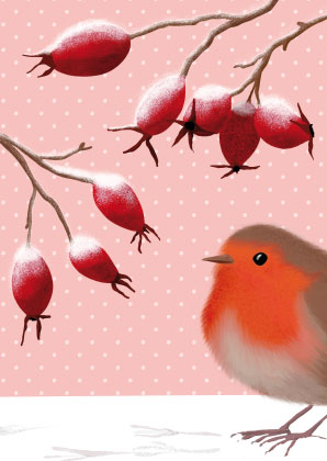 Postkarte - Toni Starck - Sweet Robin