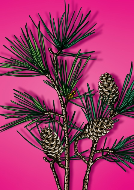 Postkarte - illi - ZUINZU