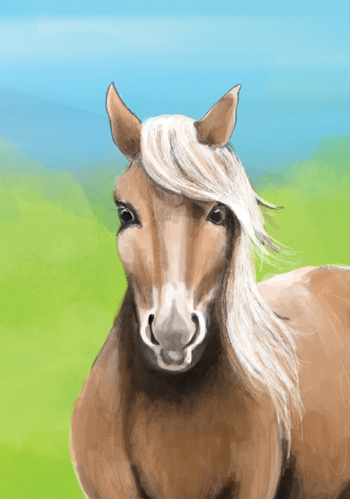 Postcard - Tabea Güttner - Horse