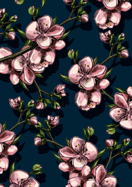 Postcard - illi - BISA