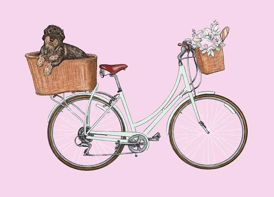 *PK - m-illu - Fahrrad mit Dackel
