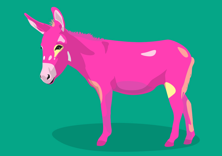 Postcard - luminous - Donkey