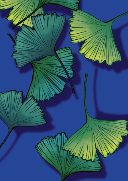 Postkarte - illi - GINKON Postkarte - illi - GINKON