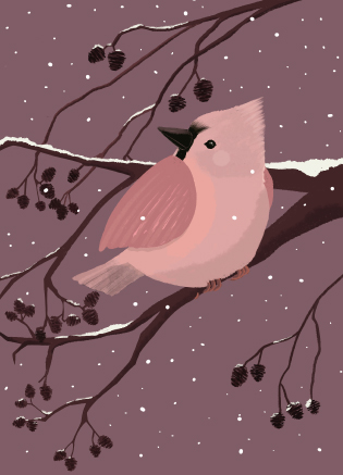 Postkarte - Toni Starck - Brown Winterbird Postkarte - Toni Starck - Brown Winterbird