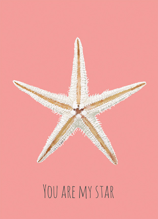 Postkarte - m-illu - Seestern koralle