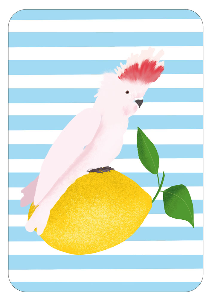 Postcard - Toni Starck - Lollipop - Lemon Cockatoo