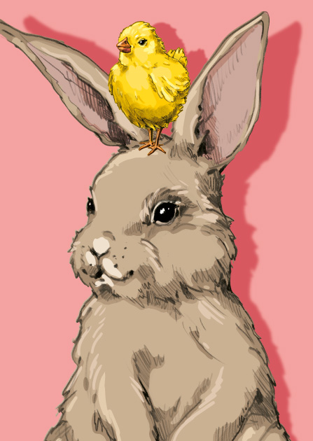 Postcard - illi - NINI