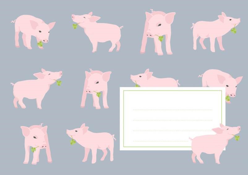 *Umschlag - crissXcross - Schwein *Umschlag - crissXcross - Schwein