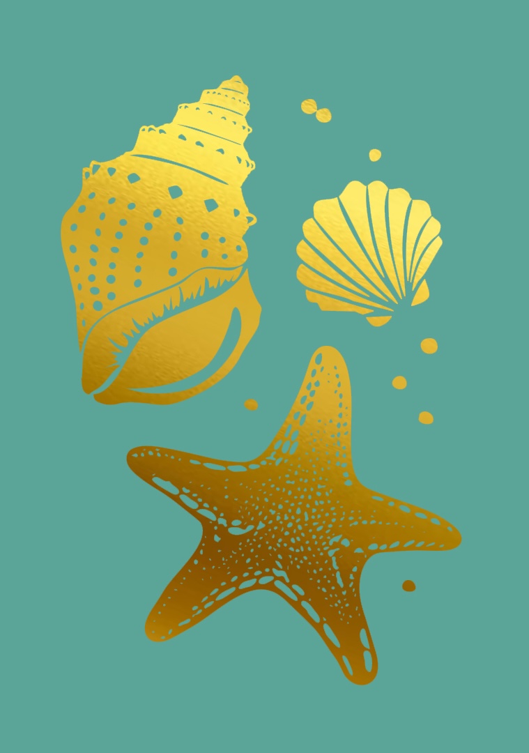 Postkarte - pure - Muscheln