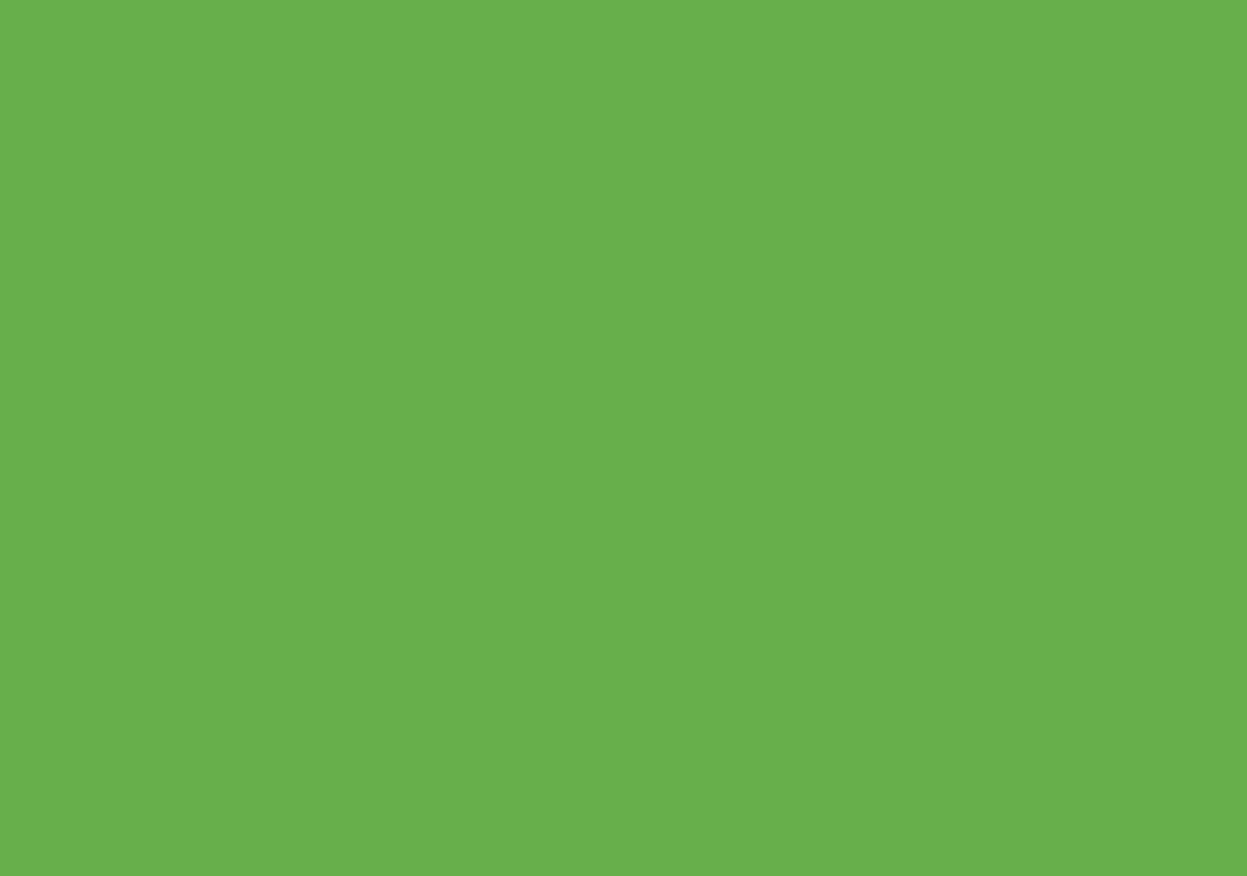 Postcard – uni – neon green